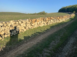 lemne de foc 