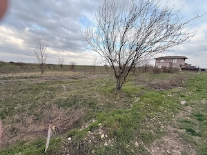 Teren intravilan de vânzare   Domnești, sat Țegheș | 652 mp | Ideal dezvoltare rezidențială - imagine 6