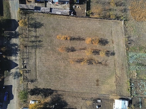 Persoana fizica, vand teren intravilan 3000mp Loc. Sambateni Jud. Arad - imagine 3