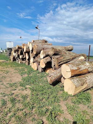 De vânzare lemne de foc    - imagine 5