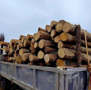 De vânzare lemne de foc    - imagine 4