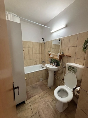 Apartament cu 1 camera - Sanmartin, jud. Bihor  - imagine 4