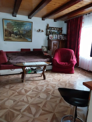 Casa de vanzare in Sag, Timis - imagine 4