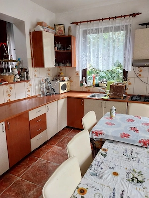 Casa de vanzare in Sag, Timis - imagine 8