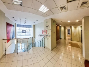 Inchiriere spatiu comercial Pantelimon - Piata Delfinului, Bucuresti - imagine 12