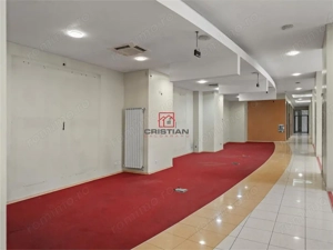 Inchiriere spatiu comercial Pantelimon - Piata Delfinului, Bucuresti - imagine 11