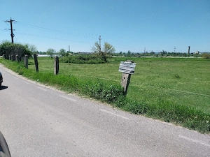 Loturi de 1200 mp Șimian 