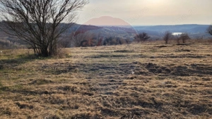 De vânzare teren intravilan, 1.505 mp - Paleu - imagine 5