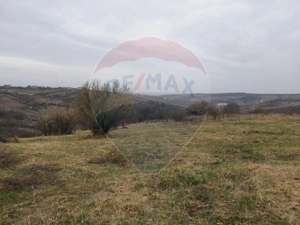 De vânzare teren intravilan, 1.505 mp - Paleu - imagine 4