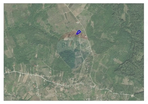 De vânzare teren extravilan, 1.338mp, strada Dealul Mare - Paleu - imagine 2