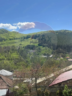 Casa bunicilor, cu gradina, Lera, Buzau! - imagine 15