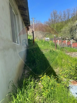 Casa bunicilor, cu gradina, Lera, Buzau! - imagine 17