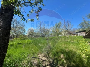 Casa bunicilor, cu gradina, Lera, Buzau! - imagine 16