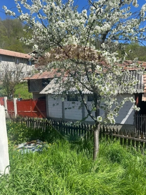 Casa bunicilor, cu gradina, Lera, Buzau! - imagine 20