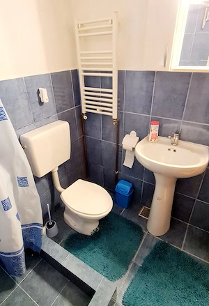  Apartament 1 cameră, centrală , mobilat și utilat, zona Lipovei! - imagine 5