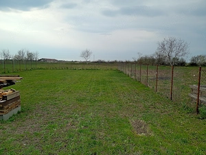 Vind  teren intravilan in Cebza, jud Timis 