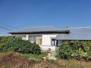 Casa de vanzare Valea Popii Radovanu