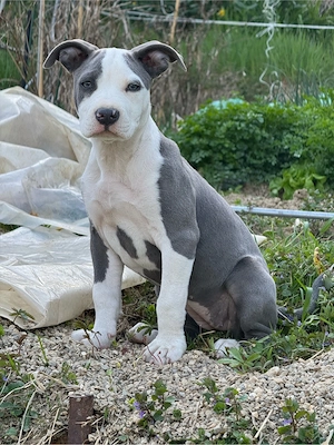 Caut o familie care sa ma iubeasca!