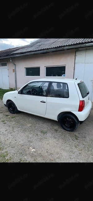 Vand Lupo an 2002 - imagine 2