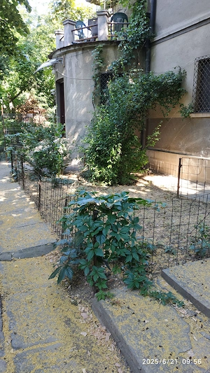 Inchiriere parter vila