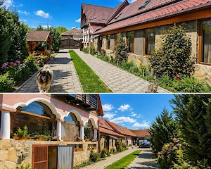 Se vinde casa in Dridif, com Voila, localitate  pe DN1, intre Sibiu si Brasov - imagine 2
