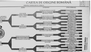 vand ciobaesc mioritic - imagine 3