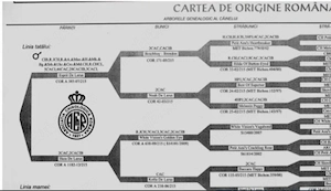 vand ciobaesc mioritic - imagine 2