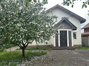 Casă individuală San Mihaiu Roman - imagine 2