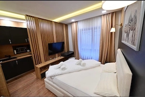 Inchiriez Apartament Central - imagine 3