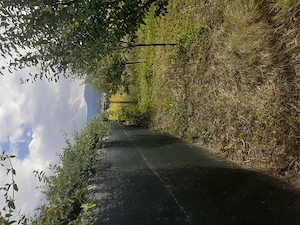 Vând teren împrejmuit în Orașul Brasov - imagine 6