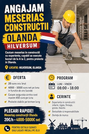 Meseriaș construcții Olanda   20  h   4000-5000  net