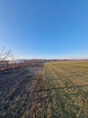 Teren intravilan de vanzare, 7300 mp, Dej