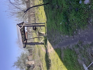 vand proprietate in mediu rural la 5 km de Dunare