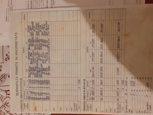 vand proprietate in mediu rural la 5 km de Dunare - imagine 5