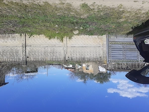 vand proprietate in mediu rural la 5 km de Dunare - imagine 6