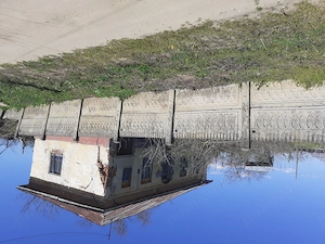 vand proprietate in mediu rural la 5 km de Dunare - imagine 7