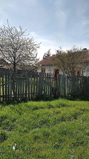 Vând casă situată în Negru Vodă - imagine 2