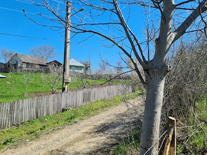 Vând teren intravilan   Dumitrești, jud. Vrancea - imagine 3