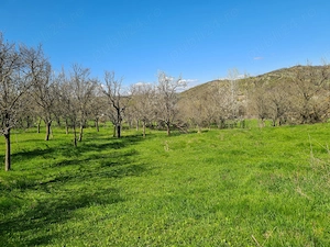 Vând teren intravilan   Dumitrești, jud. Vrancea - imagine 2