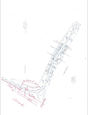 Teren Mahmudia pe malul Dunarii