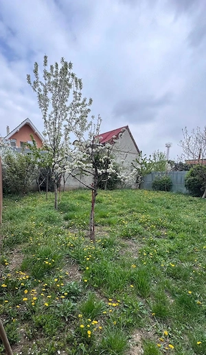 Apartament 3 cam de închiriat, cart. Rogerius - imagine 19