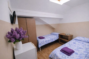 cazare cluj  firme- angajati- turisti - imagine 3