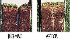 Aerator gazon prin carotare nou - imagine 4