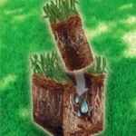 Aerator gazon prin carotare nou - imagine 3
