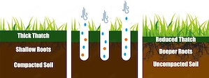 Aerator gazon prin carotare nou - imagine 5