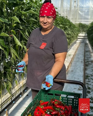 Urgent de munca in Franta  la rărit  - imagine 2