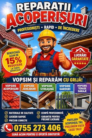     reparații si vopsire acoperisuri-profesionisti de incredere!