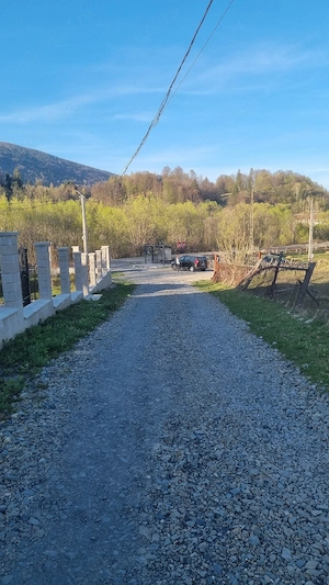 Teren de vanzare in Retezat - imagine 9