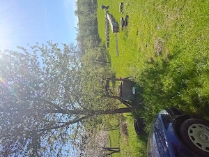 Casa de vânzare. - imagine 2