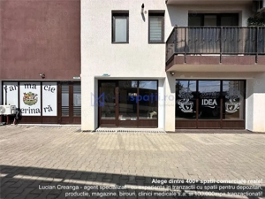 Spatiu comercial Visan - zona Profi, 176mp